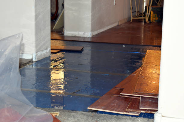 Professional Sewage Cleanup technician working in Forest Junction, WI